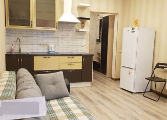 Сдача в аренду 1-комнатной квартиры, 29 м2, Котельники, Сосновая улица, 1к3