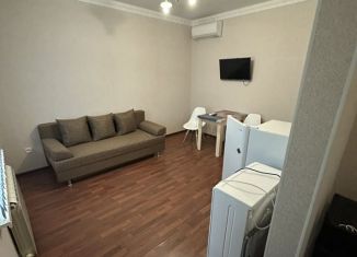 Сдается квартира студия, 25 м2, село Весёлое, улица Мира, 106