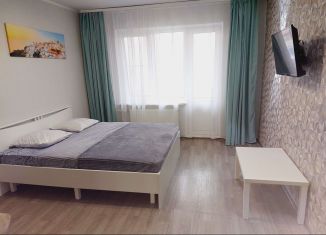 Сдача в аренду 1-комнатной квартиры, 39 м2, Новгородская область, Завокзальная улица
