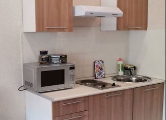 Сдаю в аренду квартиру студию, 20.5 м2, Мурино, улица Шувалова, ЖК Краски Лета