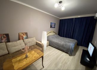 Сдается 1-комнатная квартира, 40 м2, Ставрополь, улица Рогожникова, 9, микрорайон Перспективный