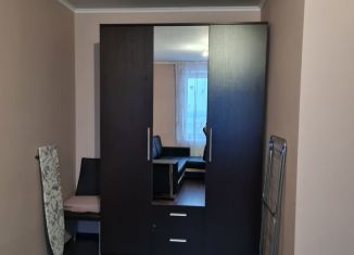 1-комнатная квартира в аренду, 32 м2, Ленинградская область, Новая улица, 7к3