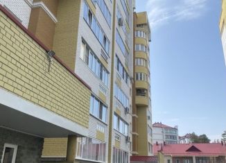 3-комнатная квартира в аренду, 99 м2, Барнаул, Змеиногорский тракт, 104П/11, Центральный район