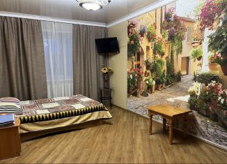 Сдаю в аренду 1-комнатную квартиру, 30 м2, Новосибирская область
