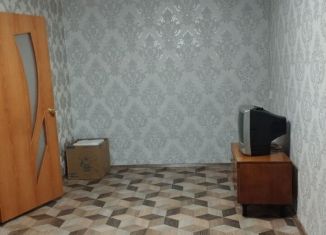 2-комнатная квартира в аренду, 47 м2, Алтайский край, Яровой переулок, 23