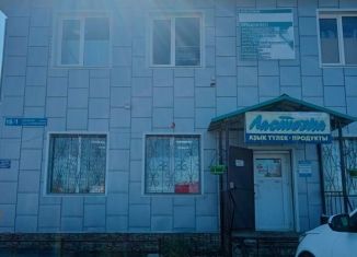 Торговая площадь на продажу, 150.4 м2, село Красноусольский, Аэродромная улица, 15/1