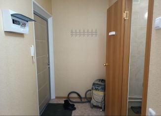 Аренда 1-комнатной квартиры, 32 м2, Челябинская область, улица Белопольского, 4