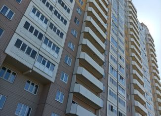Аренда 1-комнатной квартиры, 42 м2, Санкт-Петербург, проспект Королёва, 73