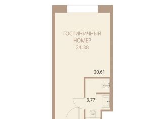 Продаю 1-комнатную квартиру, 24.4 м2, Липецкая область