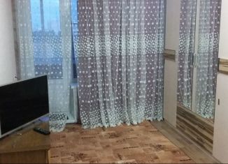 Сдается 1-комнатная квартира, 30 м2, Новосибирск, улица Челюскинцев, 44, Железнодорожный район