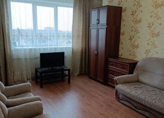 Сдам однокомнатную квартиру, 45 м2, Краснодар, микрорайон Дубинка, улица КИМ