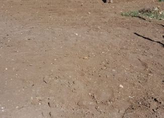 Участок на продажу, 6 сот., село Ивановка