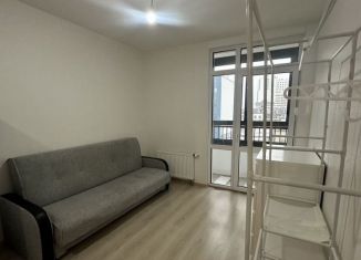Аренда квартиры студии, 25 м2, Екатеринбург, улица Евгения Савкова, 23