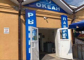 Сдаю помещение свободного назначения, 25 м2, Новомосковск, улица Трудовые Резервы, 33А