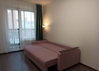 Продается квартира студия, 24.2 м2, Санкт-Петербург, Арцеуловская аллея, муниципальный округ Коломяги