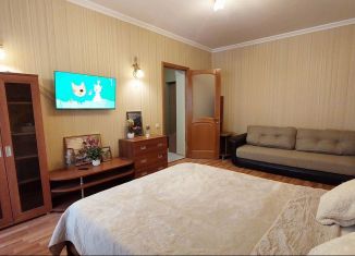 Сдаю в аренду 1-ком. квартиру, 50 м2, Краснодар, Черкасская улица, микрорайон Восточно-Кругликовский