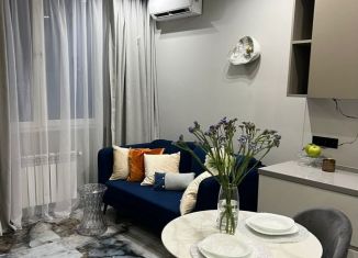 Продаю 1-комнатную квартиру, 38 м2, Сочи, улица Яна Фабрициуса, 2/23М, микрорайон Яна Фабрициуса