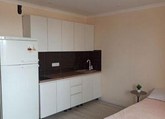 Аренда квартиры студии, 25 м2, городской посёлок Новоселье, Петропавловская улица, 13