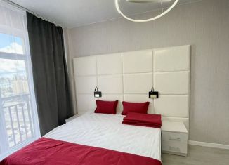 Продажа квартиры студии, 23.4 м2, Санкт-Петербург, Пулковское шоссе, 14с6, Пулковское шоссе