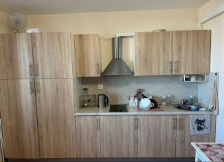 Продается квартира студия, 24.1 м2, Мурино, проспект Авиаторов Балтики, 7, ЖК Виктория