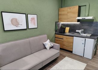 Продаю квартиру студию, 18 м2, Архангельск, улица Смольный Буян, 14к2