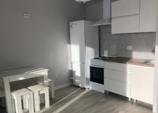 Сдаю квартиру студию, 31 м2, Екатеринбург, Июльская улица, 26