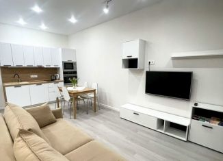 Сдаю в аренду таунхаус, 55 м2, Новосибирская область, микрорайон Берёзки, 155