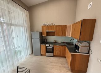 Сдача в аренду 1-ком. квартиры, 40 м2, посёлок Шушары, Образцовая улица
