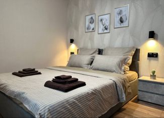 Аренда 1-комнатной квартиры, 46 м2, Екатеринбург, Асбестовский переулок, 2к1, метро Динамо