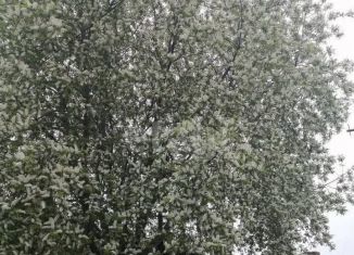 Дом на продажу, 40.1 м2, Троицк, улица имени А.Г. Мотова, 84