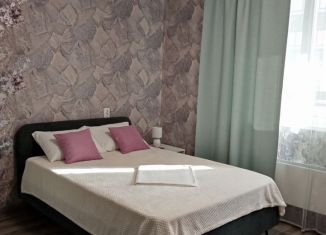 Сдается в аренду квартира студия, 30 м2, Екатеринбург, улица Николая Островского, 2