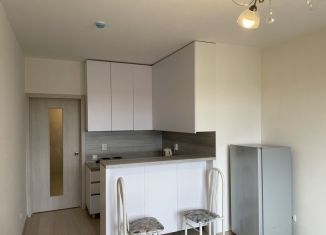 Квартира в аренду студия, 25 м2, Екатеринбург, улица Зелёный Остров, 12