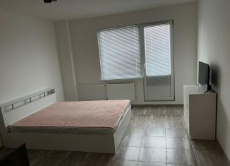 Сдаю квартиру студию, 29 м2, посёлок Шушары, Новгородский проспект, 2к1