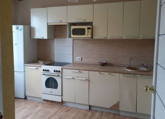 Аренда 2-ком. квартиры, 60 м2, посёлок Шушары, Валдайская улица, 11