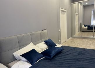Сдаю 2-ком. квартиру, 55 м2, Санкт-Петербург, набережная реки Мойки, 93, метро Адмиралтейская
