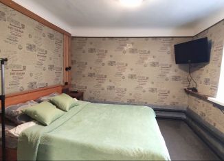 Сдам в аренду дом, 20 м2, Ростов-на-Дону, Лесная улица, 10