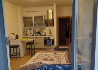Продается квартира студия, 23.9 м2, Санкт-Петербург, улица Адмирала Трибуца, 5, Красносельский район