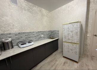 Сдам в аренду 1-ком. квартиру, 35 м2, поселок городского типа Стройкерамика, улица Анетты Басс, 4с2