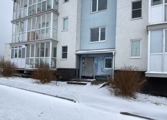 Квартира на продажу студия, 20 м2, сельский посёлок Новинки, Чкаловский проезд, 6, ЖК Окский Берег