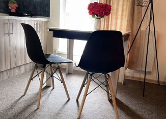 Сдача в аренду однокомнатной квартиры, 22 м2, Долгопрудный, улица Лизы Чайкиной, 14/15