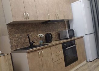 Сдача в аренду квартиры студии, 29 м2, село Орёл-Изумруд, улица Лазурная Долина, 163А