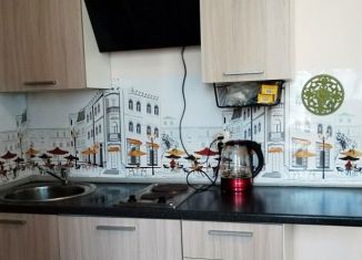 Продается квартира студия, 25.8 м2, Санкт-Петербург, муниципальный округ Народный, улица Крыленко, 1к1с3