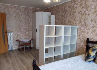 Аренда 1-комнатной квартиры, 30.2 м2, Киржач, улица Десантников