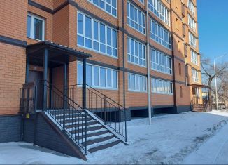 Продам 1-комнатную квартиру, 40.9 м2, Благовещенск, Конная улица, 150