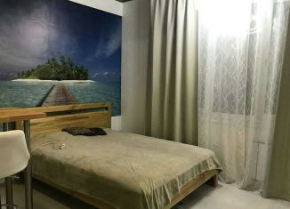 Сдаю в аренду квартиру студию, 22 м2, Екатеринбург, улица Крестинского, 35, ЖК Октава