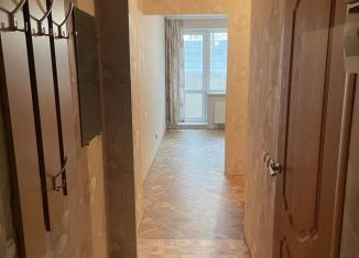 Сдача в аренду квартиры студии, 20.2 м2, Пермь, Автозаводская улица, 30, ЖК Вариант