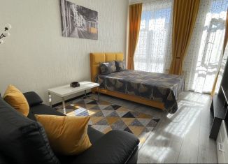 1-ком. квартира в аренду, 45.5 м2, Калининградская область, Земляничная улица, 1к1