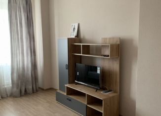 Сдача в аренду 2-комнатной квартиры, 50.2 м2, Кудрово, Европейский проспект, 3