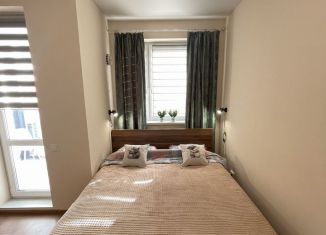 Аренда квартиры студии, 30 м2, Карелия, улица Попова, 11