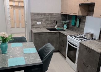 Аренда двухкомнатной квартиры, 55 м2, Йошкар-Ола, улица Лебедева, 47, микрорайон Нагорный